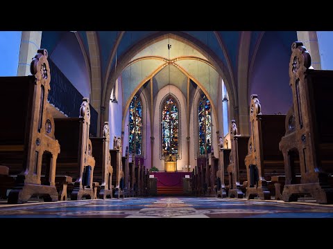 Catholic Organ Playlist 11 | Non Stop Organ Sounds, Catholic Meditation, Prayer, 4 Organ Pieces