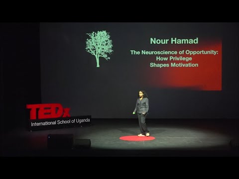 The Neuroscience of Opportunity | Nour Hamad | TEDxIntl School Of Uganda