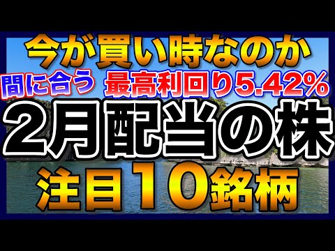 【高配当株】2月配当の注目10銘柄、新NISAの成長投資枠で購入したい株はあるのか【配当金】【不労所得】