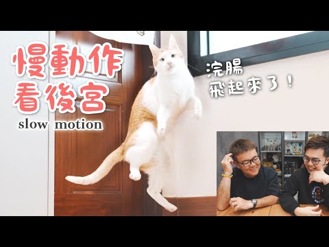 【黃阿瑪的後宮生活】慢動作看後宮！浣腸飛起來了！ #slowmotion