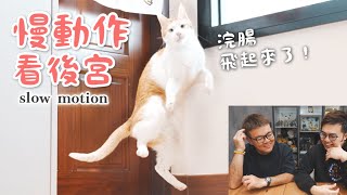 【黃阿瑪的後宮生活】慢動作看後宮！浣腸飛起來了！ #slowmotion