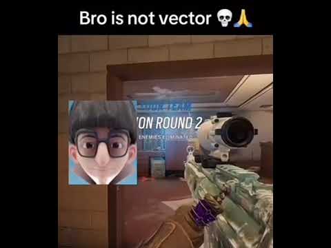 Bro is not Vector