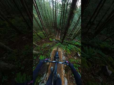 Attempting a Crazy Drop in the forrest! #mtb #mountainbiking #gopro