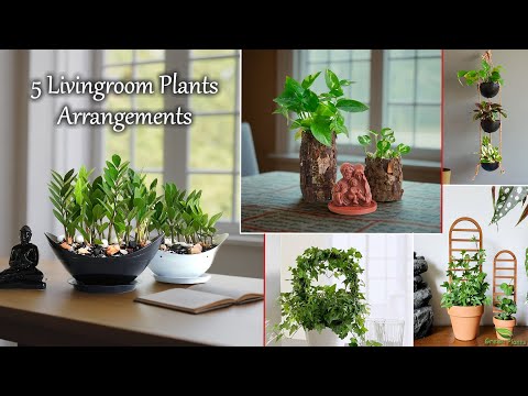 5 Plant Arrangement Hacks for a Cozy Home & That Will Make Your Living Room Shine//GREEN PLANTS