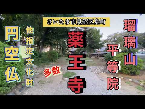 さいたま市見沼区島町 薬王寺　円空仏多数