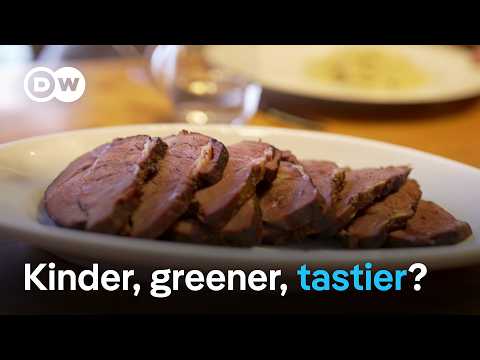 Fake steak - Future-proof food and lab-grown meat | DW Documentary