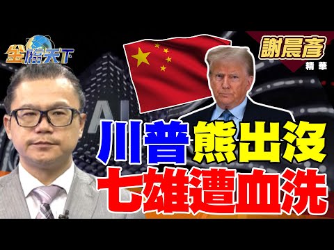 【精華】川普熊出沒 七雄遭血洗？ 陸新寵兒 Manus爆紅 DS接班人出現了？ #謝晨彥 #金臨天下  @tvbsmoney  20250311