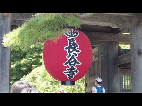 鎌倉七福神巡りツアー③ Kamakura Seven Lucky Gods③長谷寺Hase temple 大黒天Buddha#ドライブ旅行