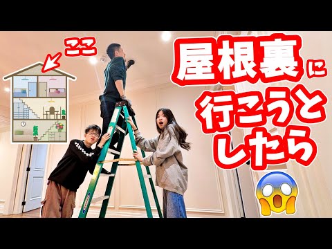 屋根裏に行こうとしたけど🤔無理だった😖