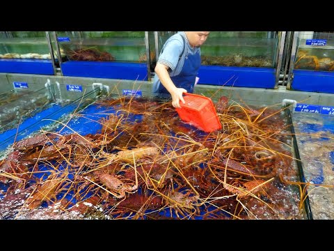 Cheapest lobster in Vietnam