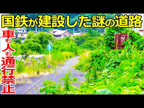 【廃線BRT】国鉄が作った謎の道路を探索しました。