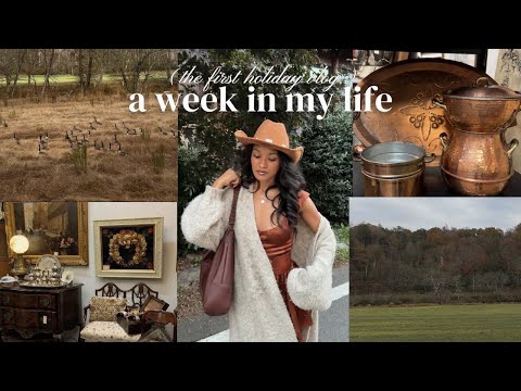 VLOG: Christmas Decor Shopping & Vintage Home Decor, Train Ride in Blue Ridge, Welcoming the Holiday