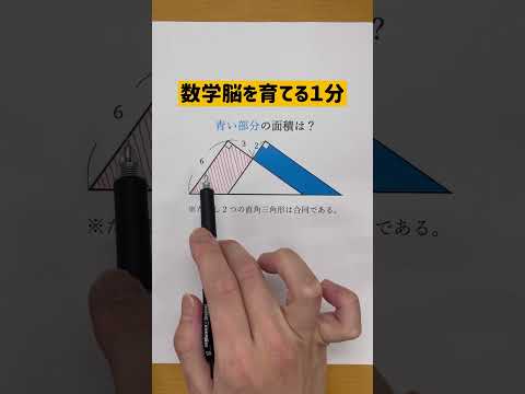 考え方が秀逸な図形問題