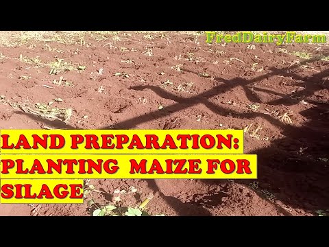 LAND PREPARATION-PLANTING MAIZE FOR SILAGE