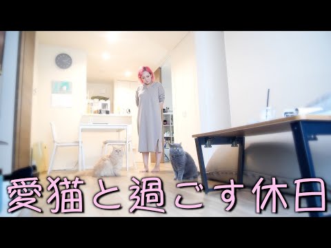 【ルーティン】妊婦と猫の休日をお見せします。