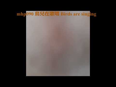 鳥兒在歌唱 birds are singing mhp090 ／2020