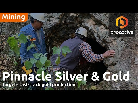 Pinnacle Silver & Gold focused on near-term production at high-grade El Potrero project