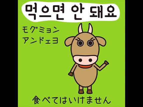 #38 「食べては行けません。」モグミョン アンドェヨ (먹으면 안 돼요.)－1日ひとこと韓国語