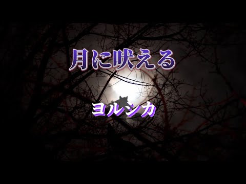 月に吠える　ヨルシカ（歌詞付き）