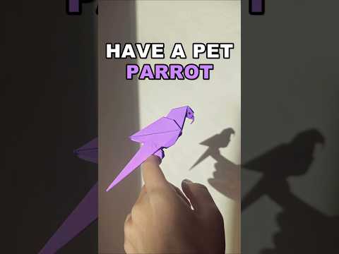 How to make Parrot Origami