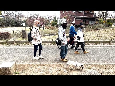 『犬』MVフルVer.完成！