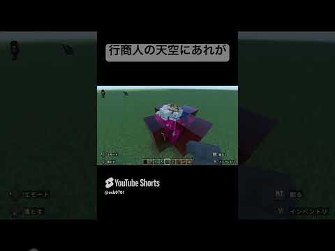 行商人がうるさい【マイクラ小ネタ】