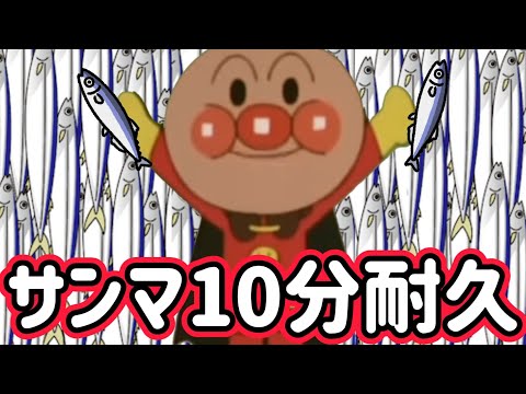 チェチェコリ『サンマ』10分耐久