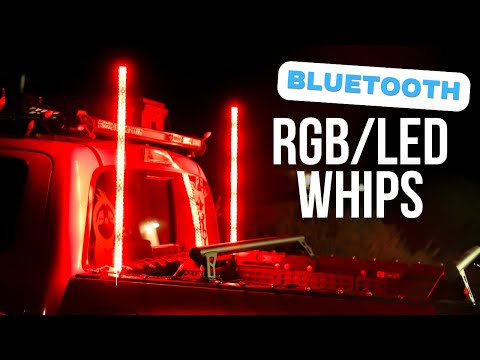 3ft Ultra Bright LED Whip from Blue Line Whips