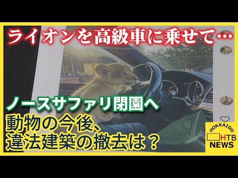 ライオンを高級車に乗せて…ノースサファリ9月末までに閉園　代表辞任　動物の今後、違法建築の撤去は？