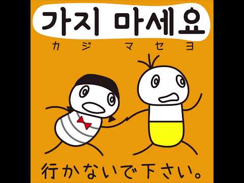 #42 「行かないで下さい。」カジマセヨ (가지 마세요.)－1日ひとこと韓国語