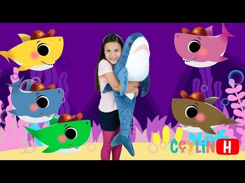 Color Baby Sharky 영어 배우기! أغاني الأطفال التعليمية والقوافي الحضانة Mainan dan lagu anak-anak 어린이 노래