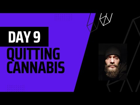 Day 9: Quitting Cannabis/THC - Discussing the Addiction of Escaping Internal Dialogue