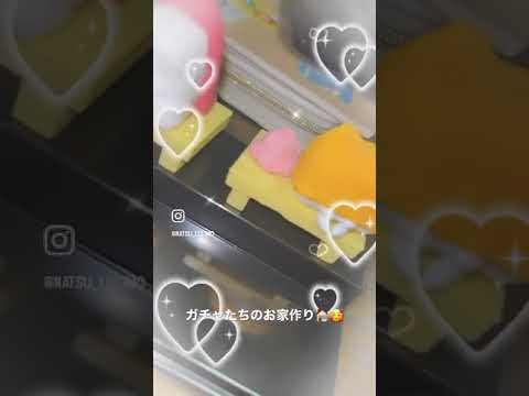 実は最後に新しい仲間が2つ加わってるよ🤭💓