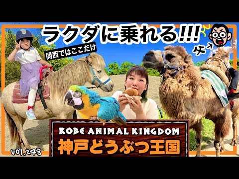 ふれあいたくさん‼️神戸空港から激近動物園徹底レポ😄【ママさん似顔絵師Bon vol.243】