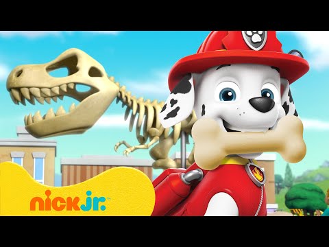 PAW Patrol Dog Bone Rescues & Adventures! 🦴 2 Hours | Nick Jr.