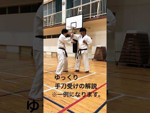 手刀受けの解説(一例)#karate #空手 #琉球空手 #空手道 #karatedo #沖縄空手 #retro #music #movie #沖縄空手 #karate #琉球古武術 #琉球古武道