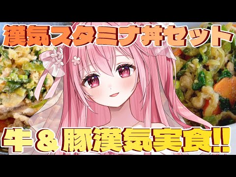 【 #鎌倉飲茶 / #雑談】漢気ぃ！スタミナ丼食レポです！肉だ！！【 桜なごみ 】 #PR