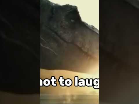 Try not to laugh #funnyvideo