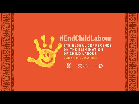 Thematic Panel 8 - Financing the elimination of child labour