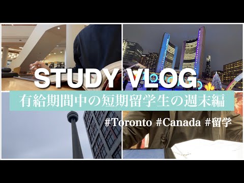 【勉強Vlog】有給期間中の短期留学生の週末編　STUDY VLOG #02