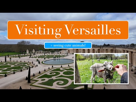 TLDR For Visiting Versailles - (BEWARE OF CUTE ANIMALS)