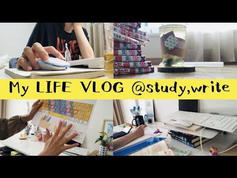 資格取得を目指す社会人の日常VLOG【Study and Write】賞与での購入品/愛犬に鯛焼き/習字/真夏日に奢ってもらった缶ジュース