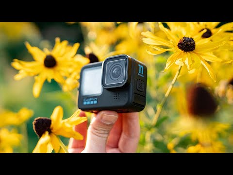 What's NEW on the GOPRO Hero 11 | Rapid Review #shorts