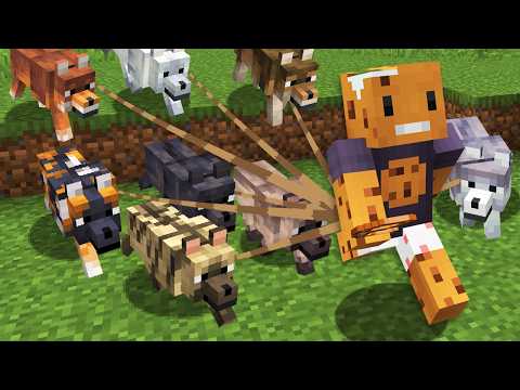 I Collected EVERY NEW WOLF in Minecraft Hardcore