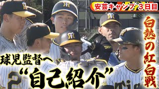 【秋季キャンプ3日目】白熱の紅白戦！若虎も藤川監督へ猛アピール！