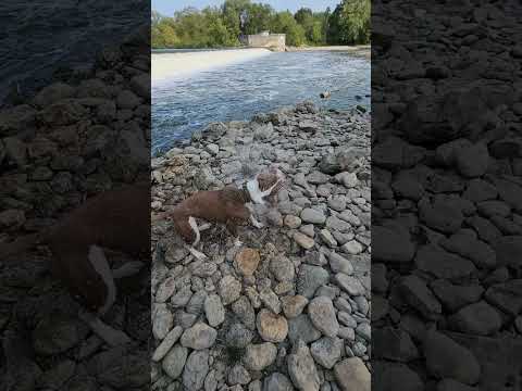 Playin in the river