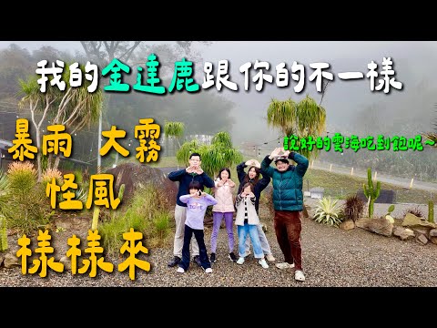 第31露｜露營VLOG｜暴雨 大霧 怪風 樣樣來 最終還是逃不了收濕帳的命運～｜ 說好的雲海吃到飽呢～天公伯啊｜OWL CAMP X-Pac防水一單位裝備箱｜蕉下戶外品牌｜金達鹿露營區