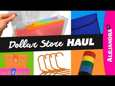 Dollar Store Haul (Organization Products)