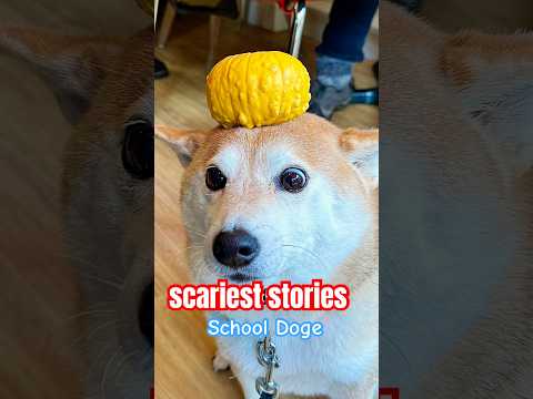 TRY NOT TO GET SCARED: School Doge #scariestshorts