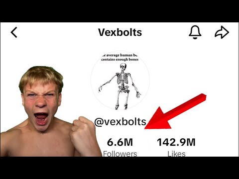 Leaving vexbolts in 2024 / 2025 ⏰🎉